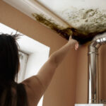 Defeating Mildew and Mold: Protecting Your Home from These Unwanted Guests